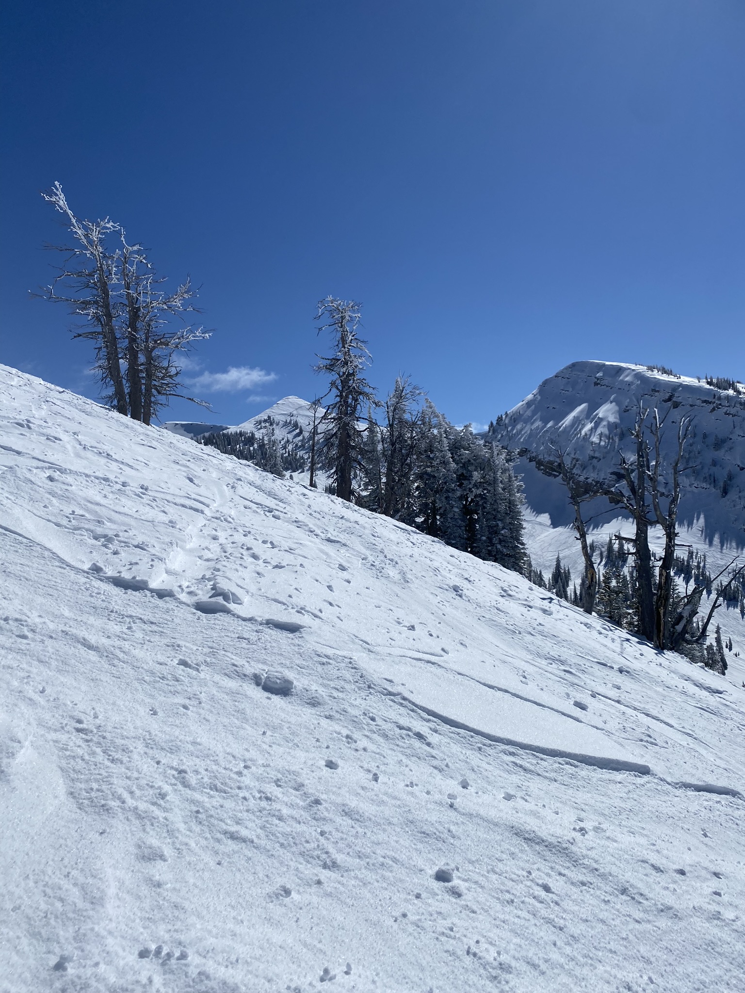 Grand Targhee Ski Resort